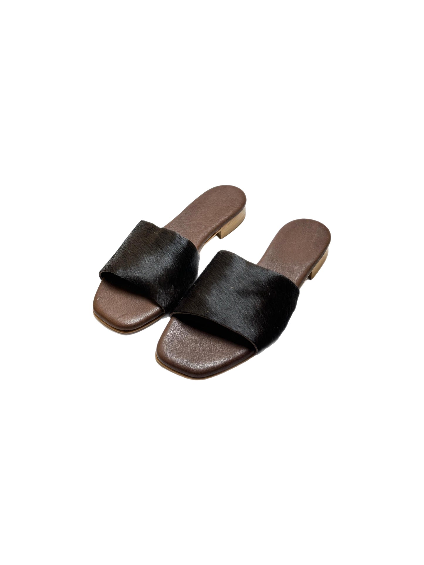 Horse brown