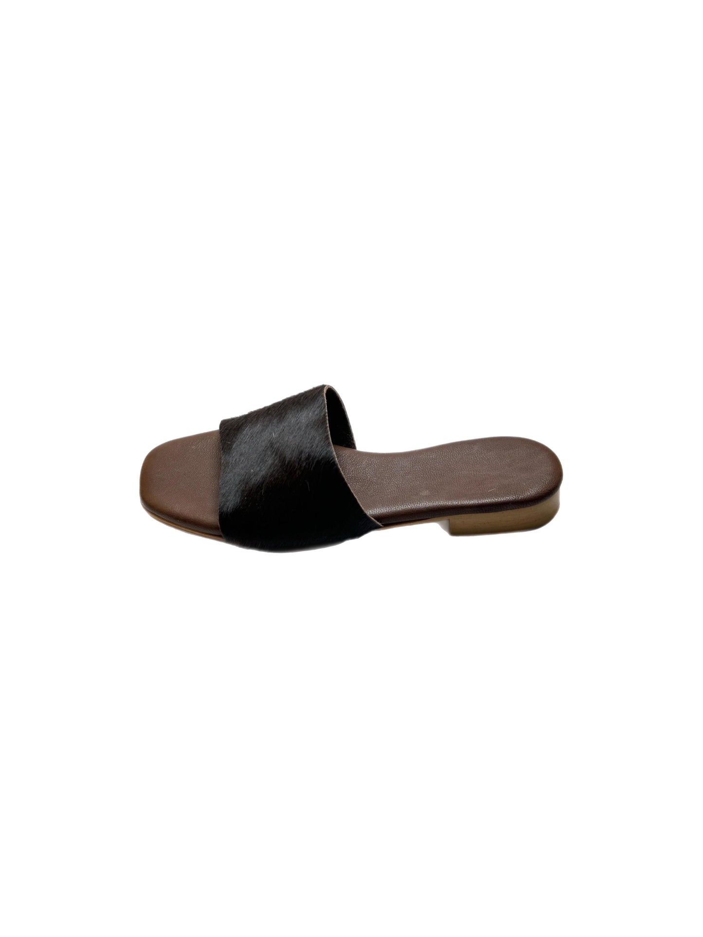 Horse brown