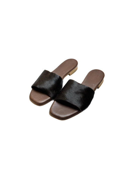 Horse brown